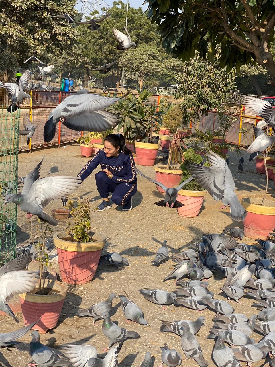 Honeypreet Insan – Nurturing Birds