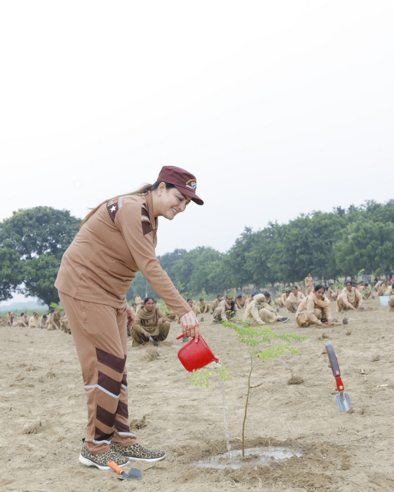 Honeypreet Insan – Tree Plantation